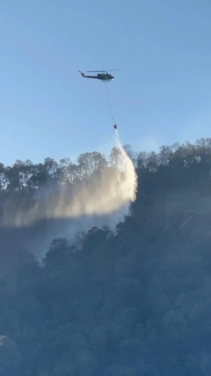 Avanza 90% Control de Incendio Forestal en El Tunal en Arteaga