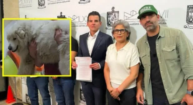 Proponen en Nuevo León la “Ley Rocky” para aumentar hasta 12 años las penas por maltrato animal