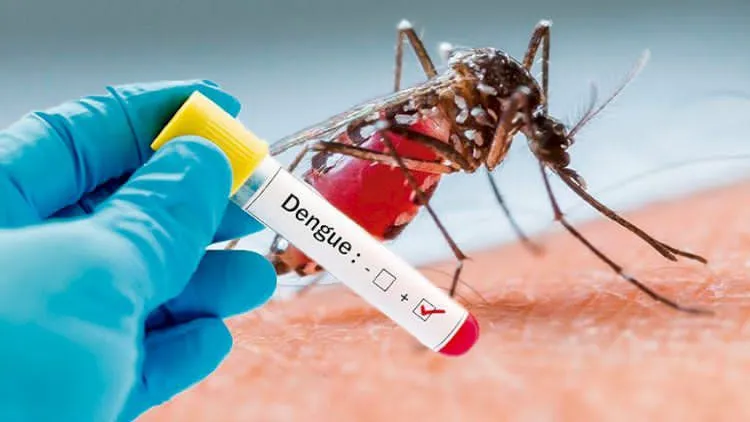 Alerta por dengue en Ramos Arizpe