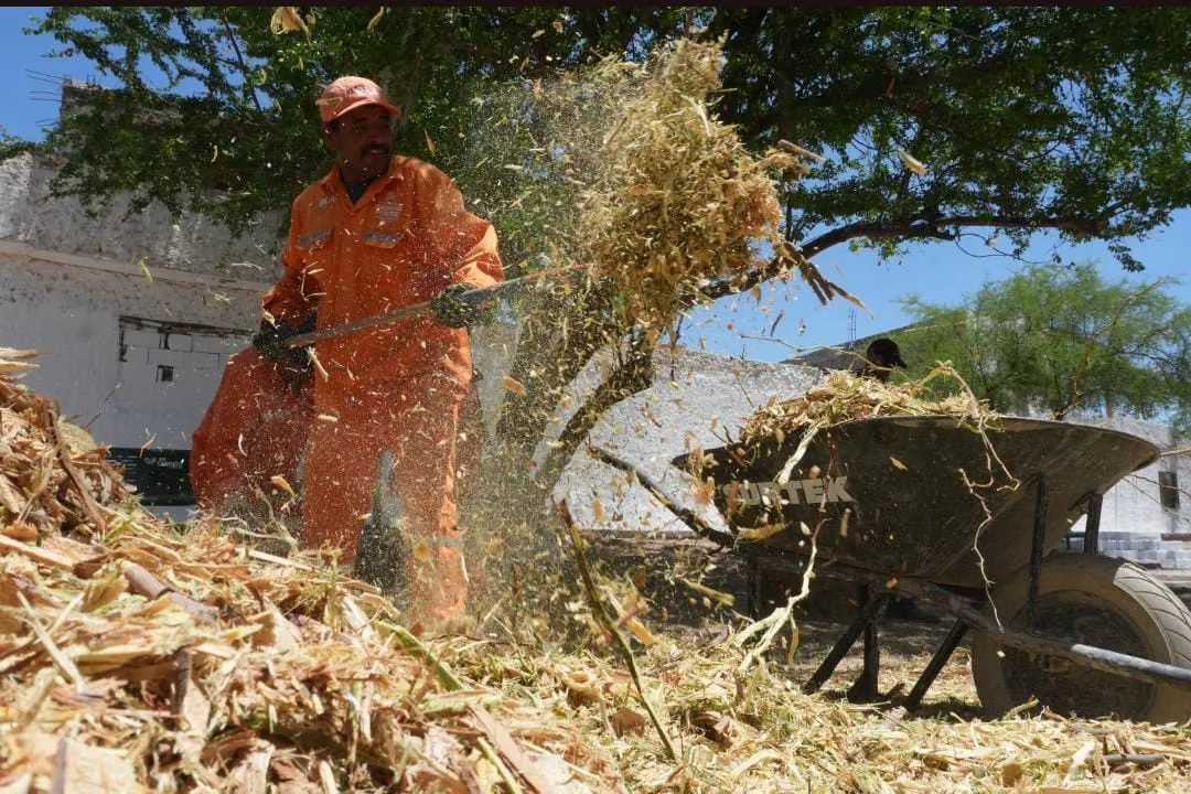 Torreón impulsa técnica ecológica para conservar agua y revitalizar áreas verdes