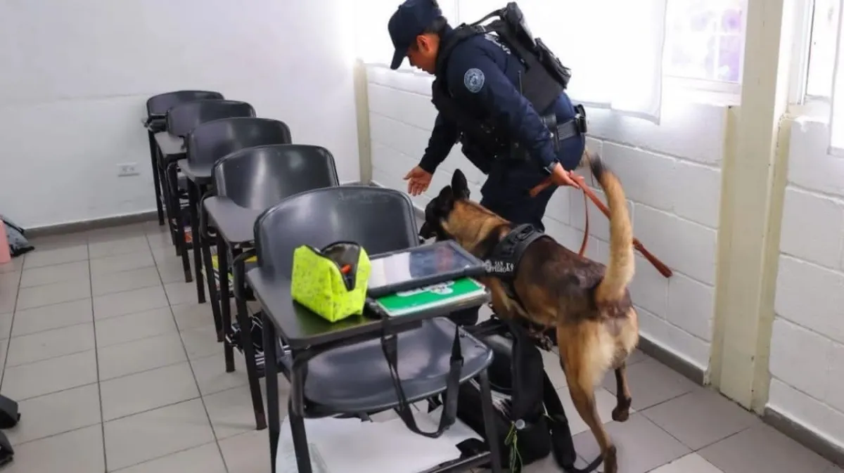 San Pedro fortalece la seguridad escolar con operativos preventivos K9