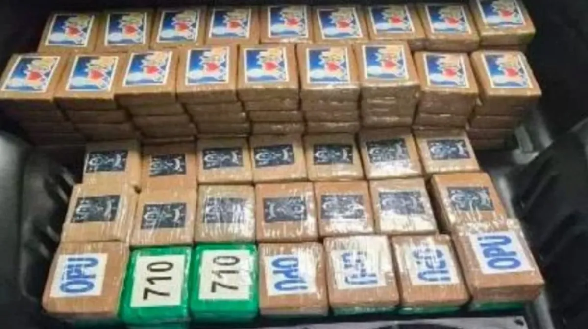 Capturan a conductor que transportaba 217 kilos de cocaína ocultos en vehículo en CDMX