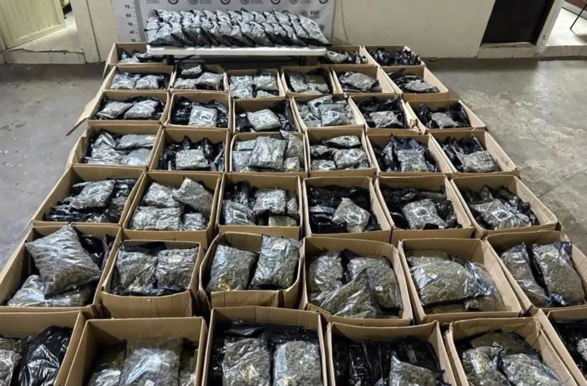 Aseguran 602 kilos de marihuana en Saltillo; iban rumbo a Monterrey