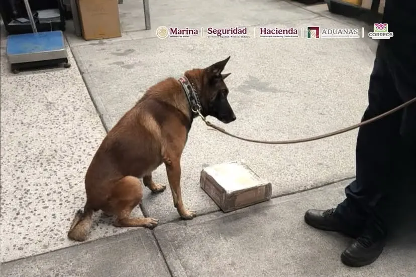 Detectan metanfetamina oculta en cargadores de videojuegos en el AICM
