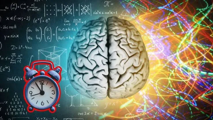 Tu cerebro podría no madurar por completo hasta los 32 años