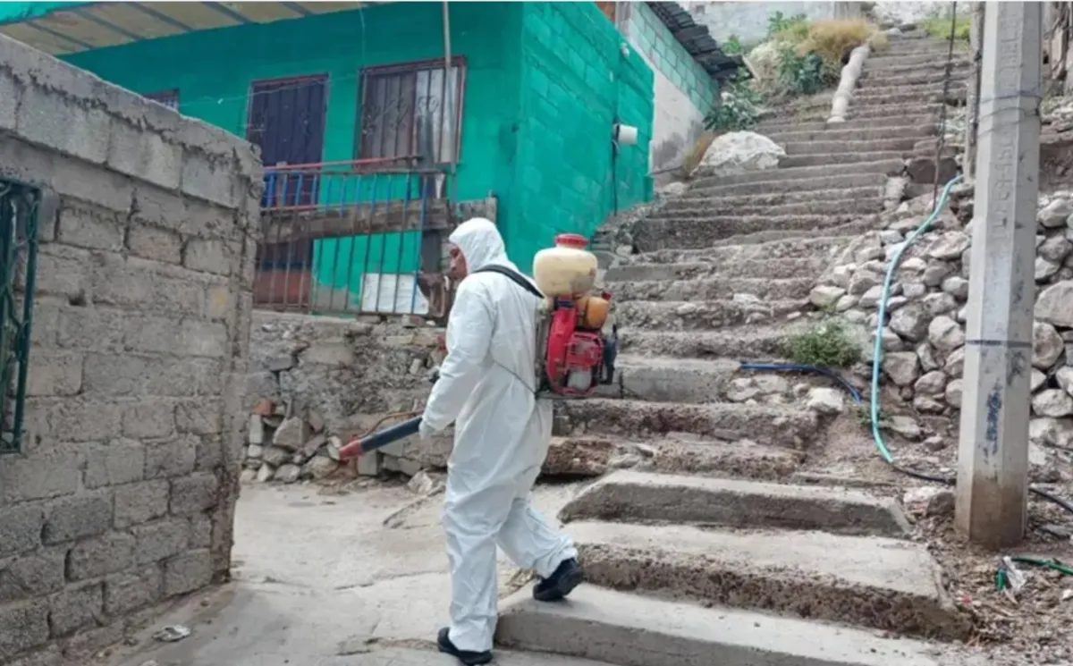 Refuerzan acciones contra mosquitos y garrapatas tras lluvias en Torreón