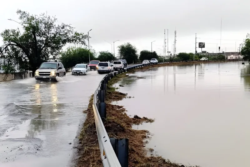 Imagen 1 de la galería