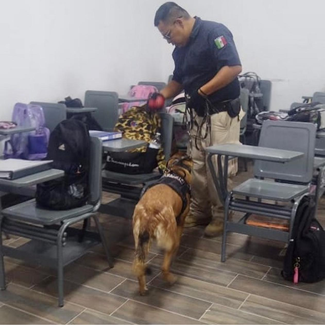 Imagen 1 de la galería