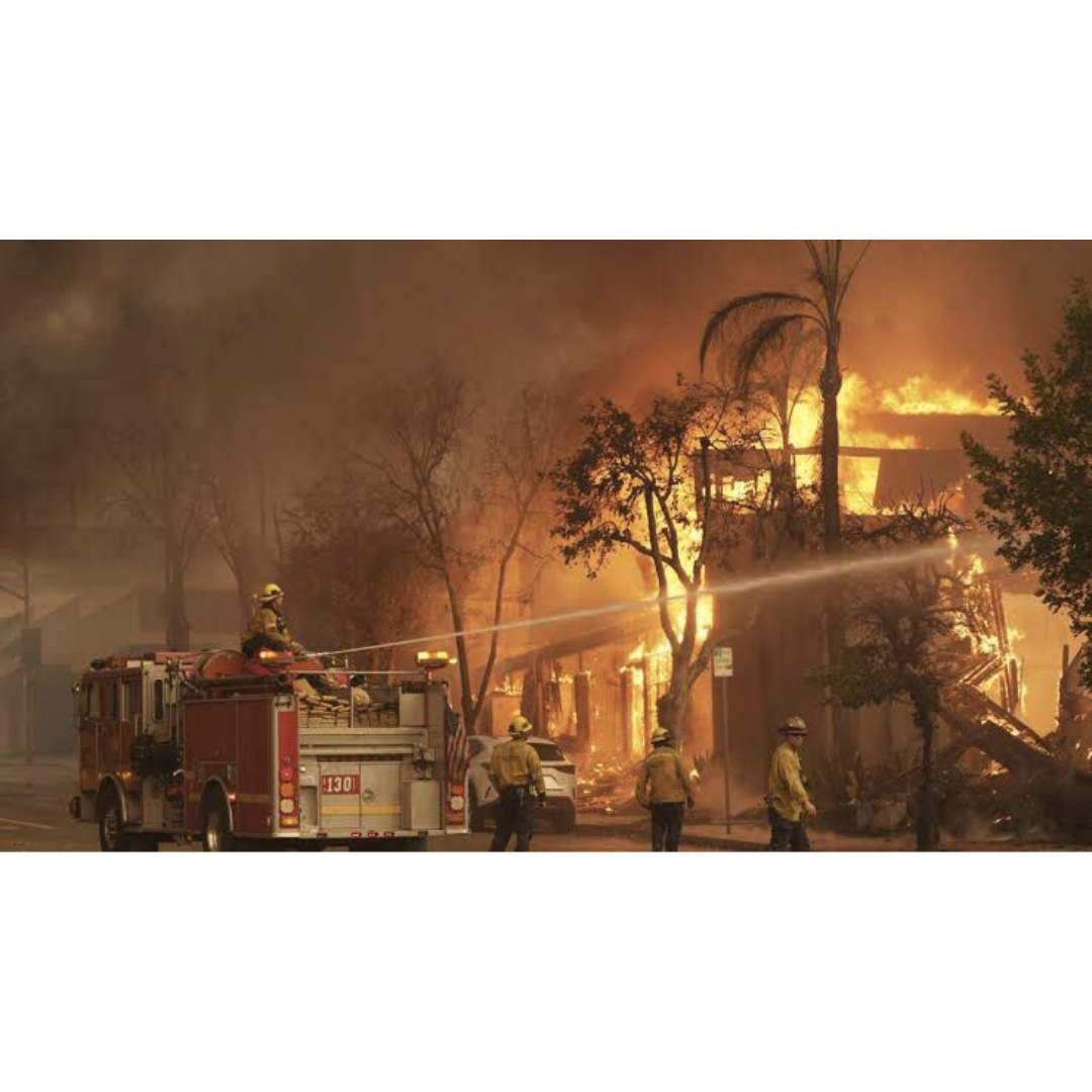 Imagen 1 de la galería