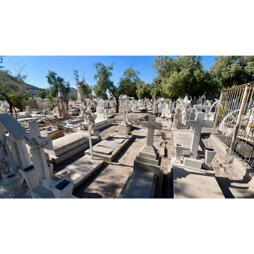 Imagen 1 de la galería