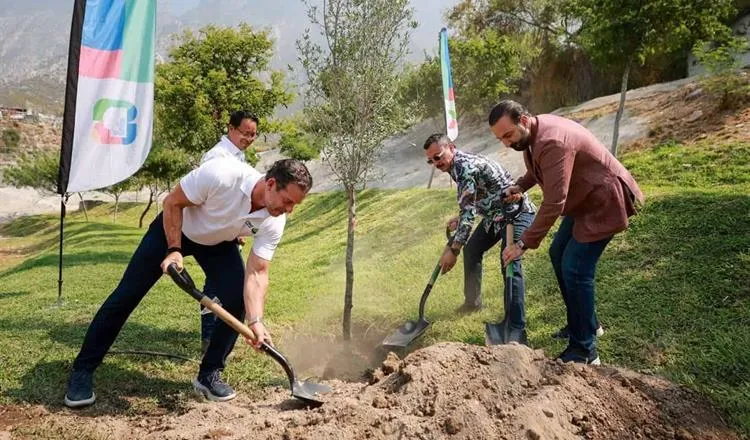 San Pedro suma árboles nativos para mejorar las áreas verdes de la ciudad