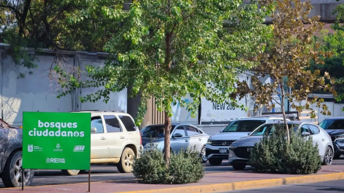 Reforestación Extrema encarga auditoría externa y promete resultados en junio