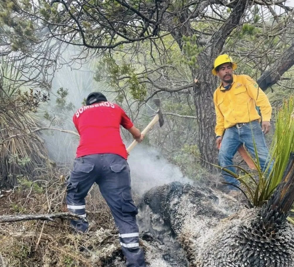 Sofocan incendio forestal en la Sierra de Arteaga tras caída de rayo