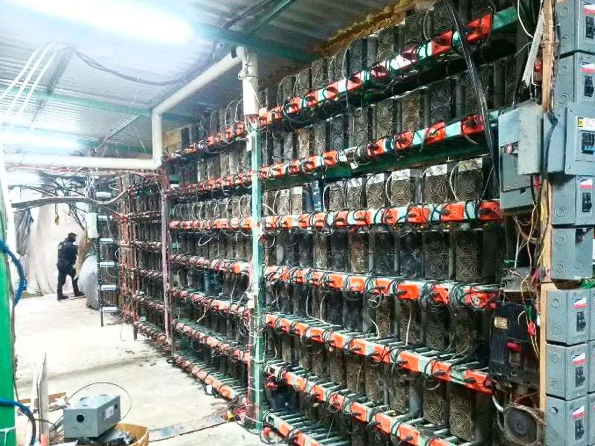Aseguran granja clandestina de criptomonedas en Puebla