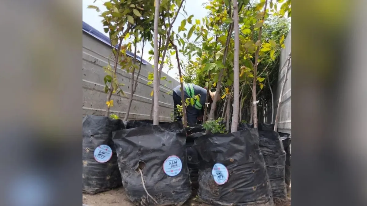 Monterrey impulsa una nueva cultura ambiental con participación ciudadana