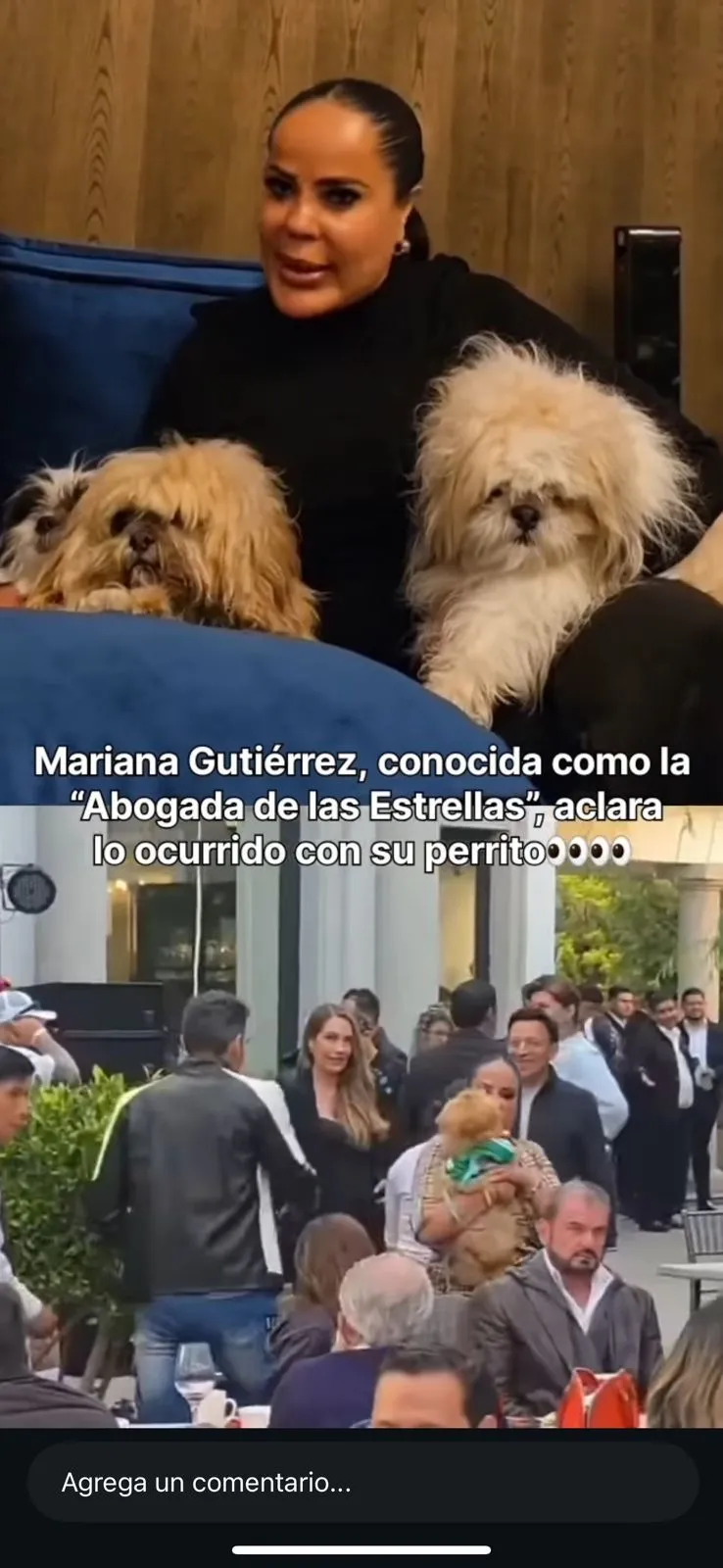 Mariana Gutiérrez ofrece disculpas tras polémico video con su mascota que desató críticas en redes