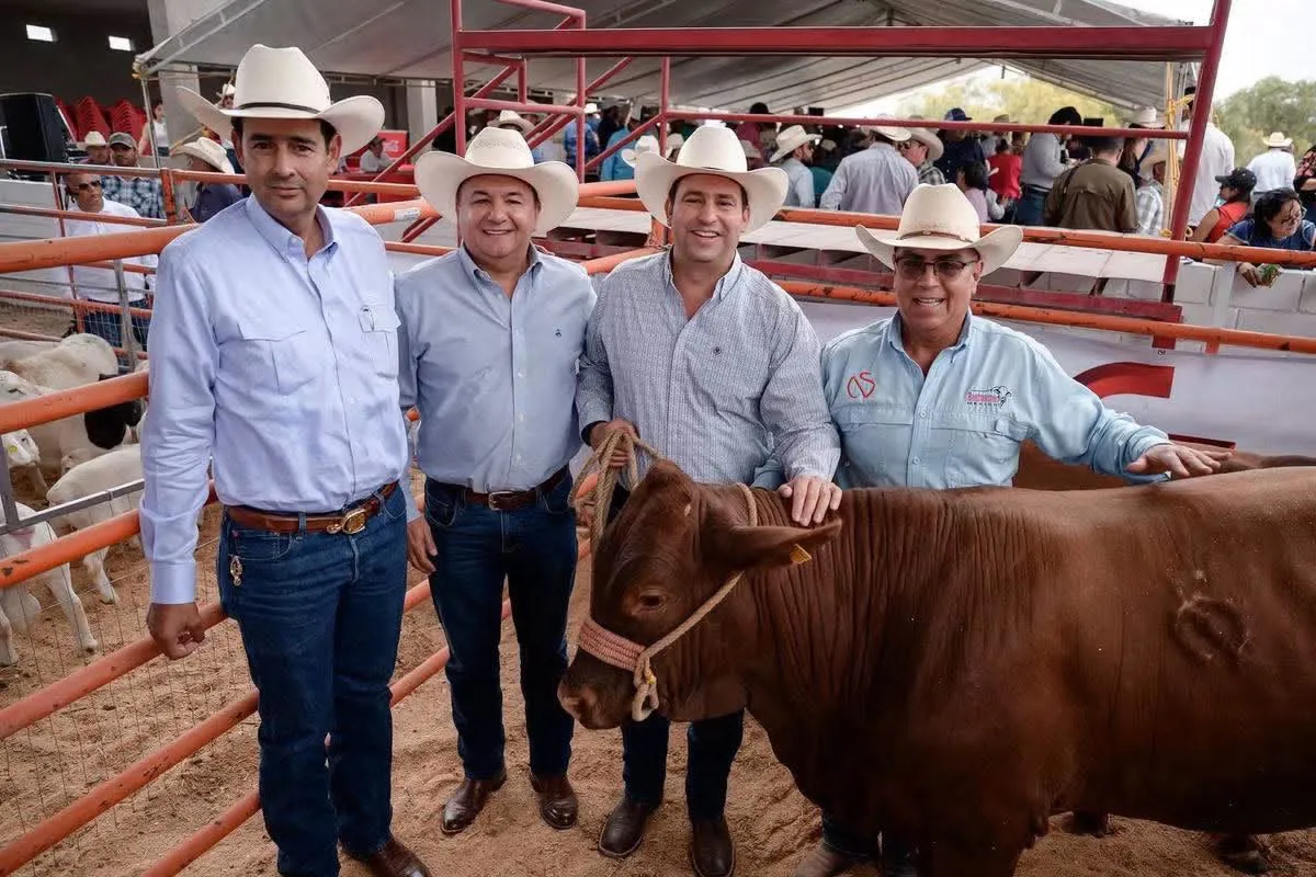 Destinan 3.4 millones de pesos para mejorar genética del ganado en Saltillo