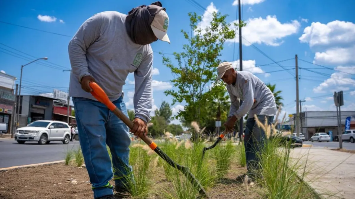 Juárez apuesta por la sustentabilidad con un andador verde de 4,000 árboles