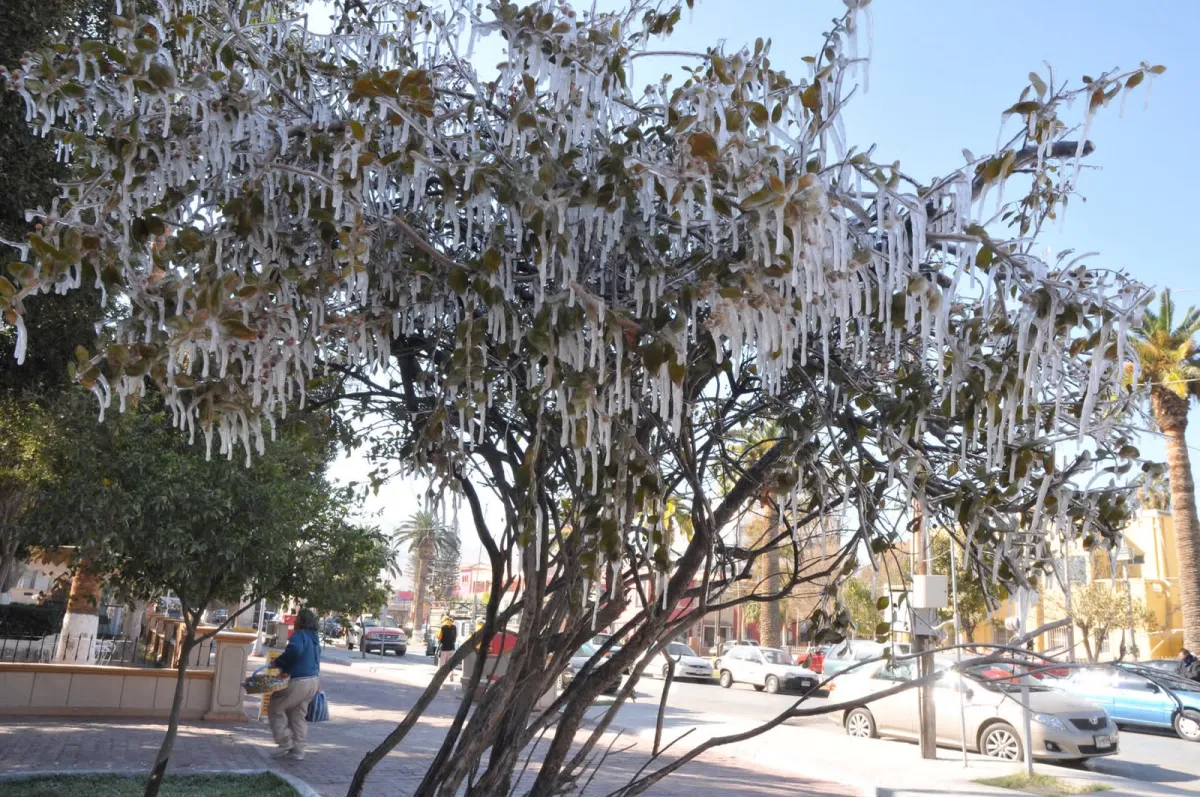 Coahuila se prepara para un invierno más frío
