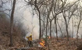 Nuevo León enfrenta una crisis nuevamente por incendios: 152 en un solo día