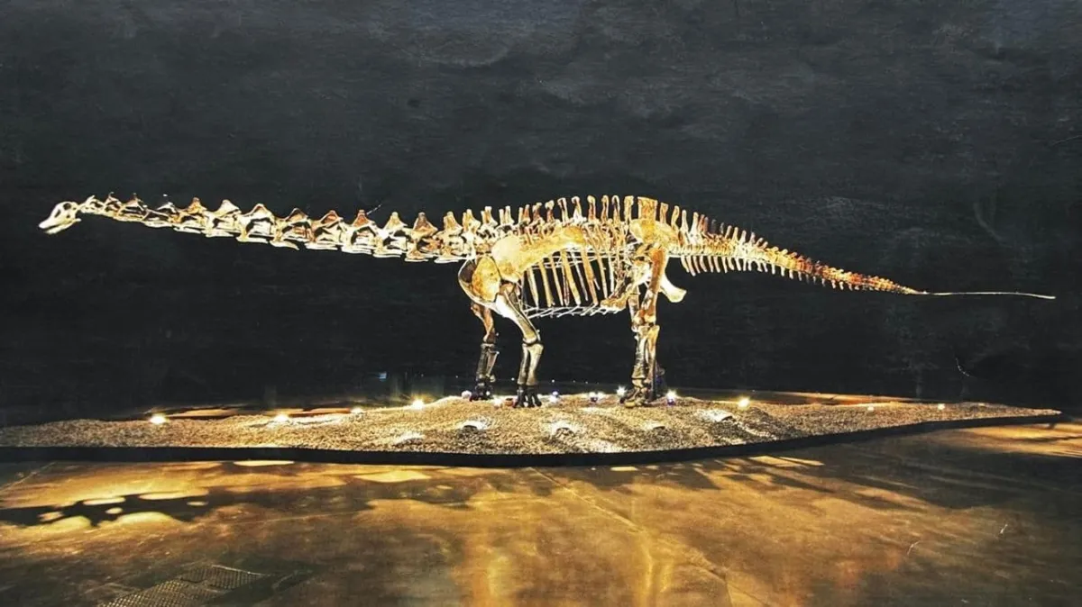 San Pedro resguardará fósil de dinosaurio donado por Mauricio Fernández