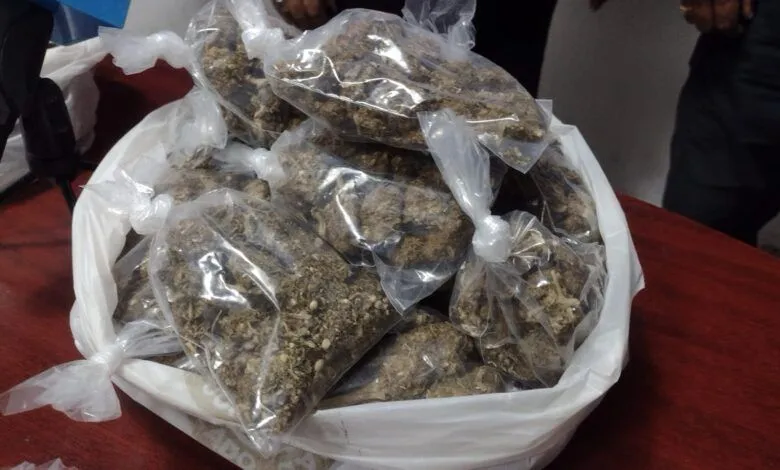 Decomisan más de 5 kilos de marihuana en Cuatro Ciénegas durante operativo