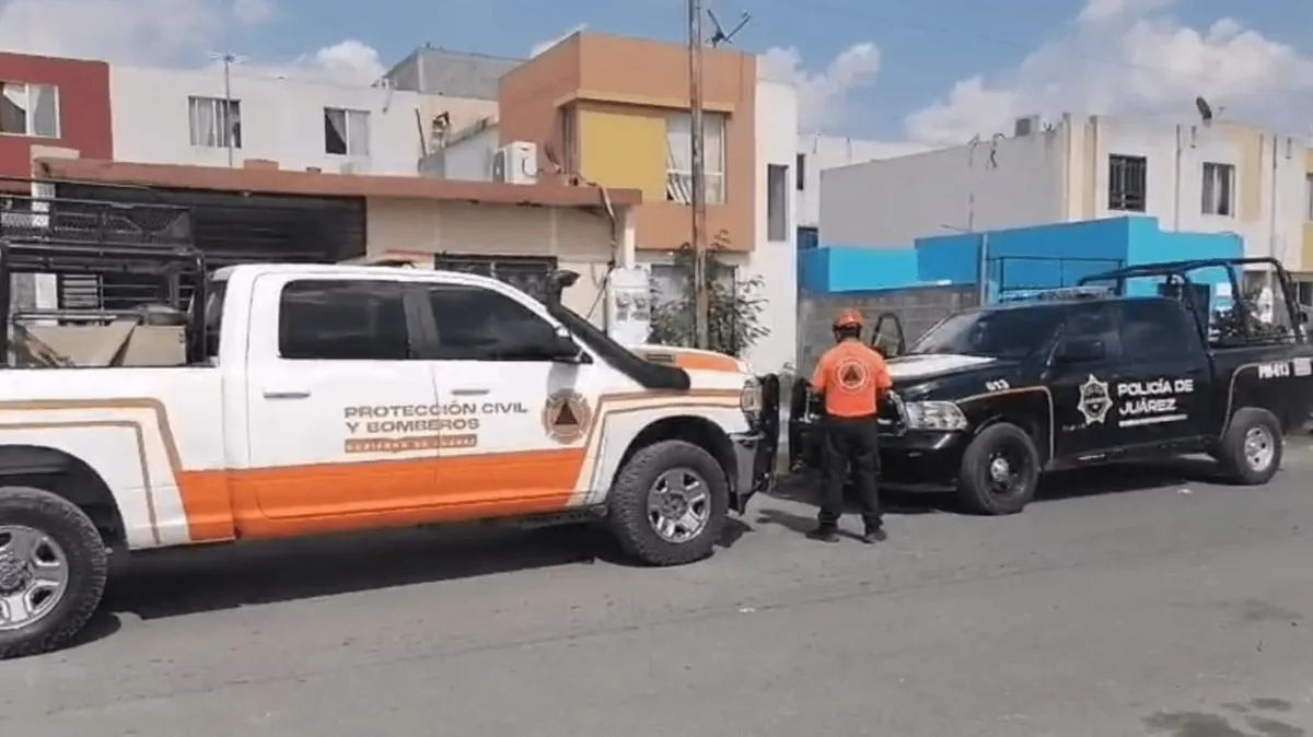 Rescatan a león africano en condiciones deplorables dentro de una casa en Juárez