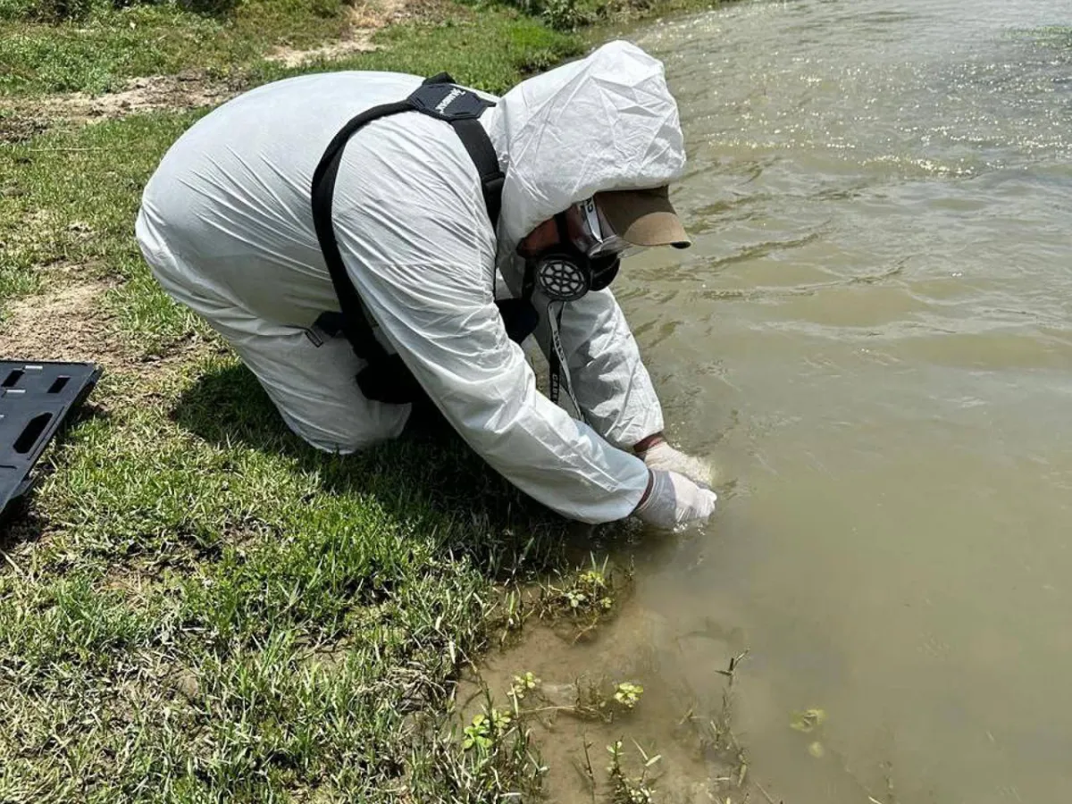 División Ambiental realiza indagatorias para detectar origen de peces muertos en Río Pesquería