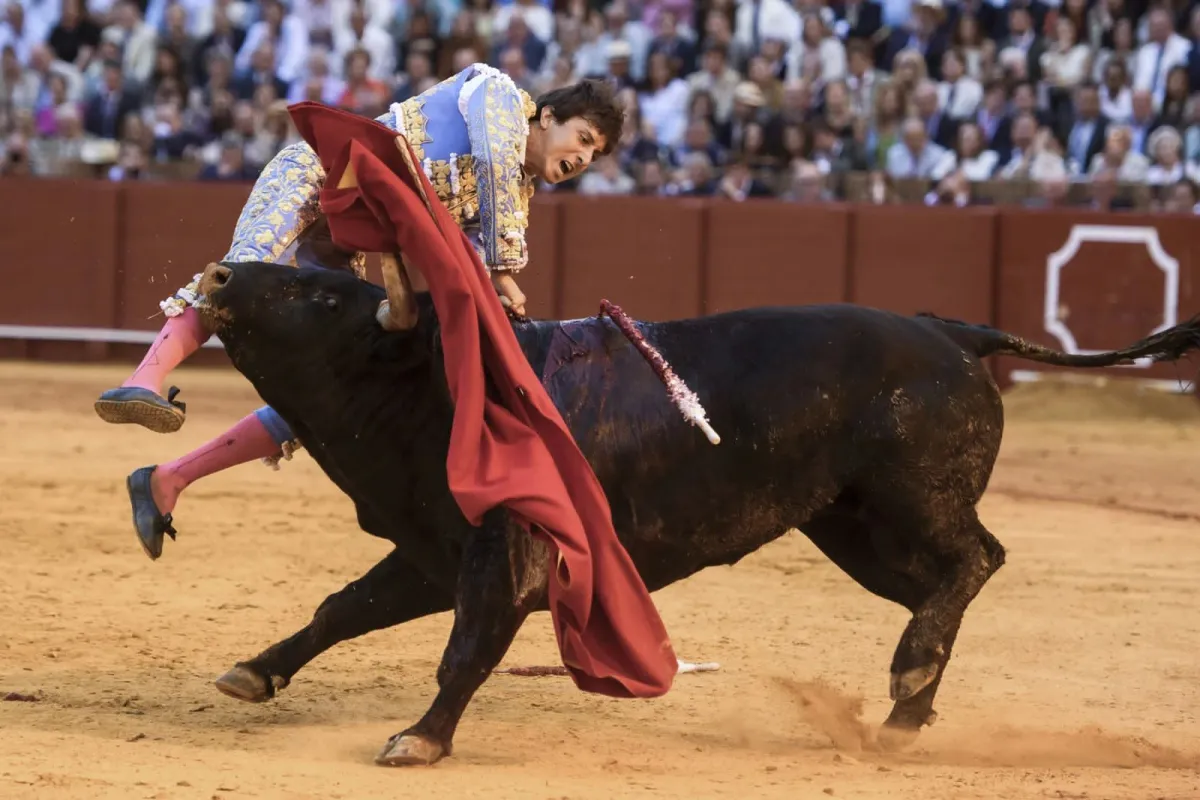 Grave cornada en la Maestranza de Sevilla: Andrés Roca Rey es embestido al entrar a matar y sufre herida profunda en el muslo