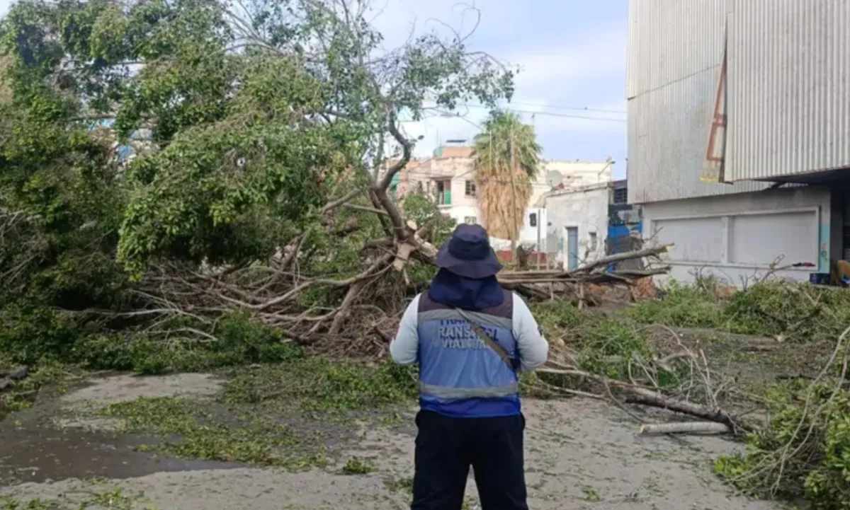Dependencias municipales de Torreón mantienen operativo por afectaciones tras lluvias