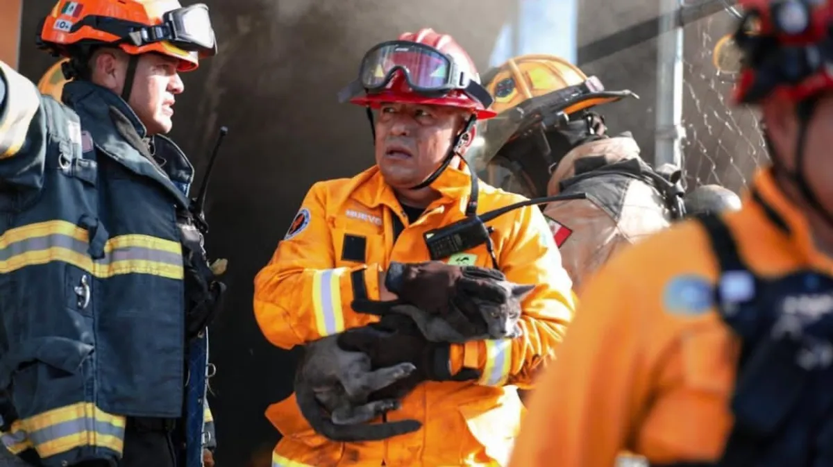 Rescatan a mascotas y evacuan a vecinos tras fuerte incendio en Monterrey