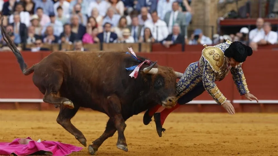 Torero Morante de la Puebla sufre grave cornada en Sevilla y es operado de emergencia