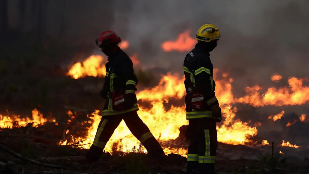 Incendio forestal en Francia mantiene a 220 mil personas fuera de sus hogares