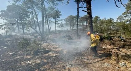 Realiza Protección Civil acciones conjuntas para sofocar incendios en Galeana