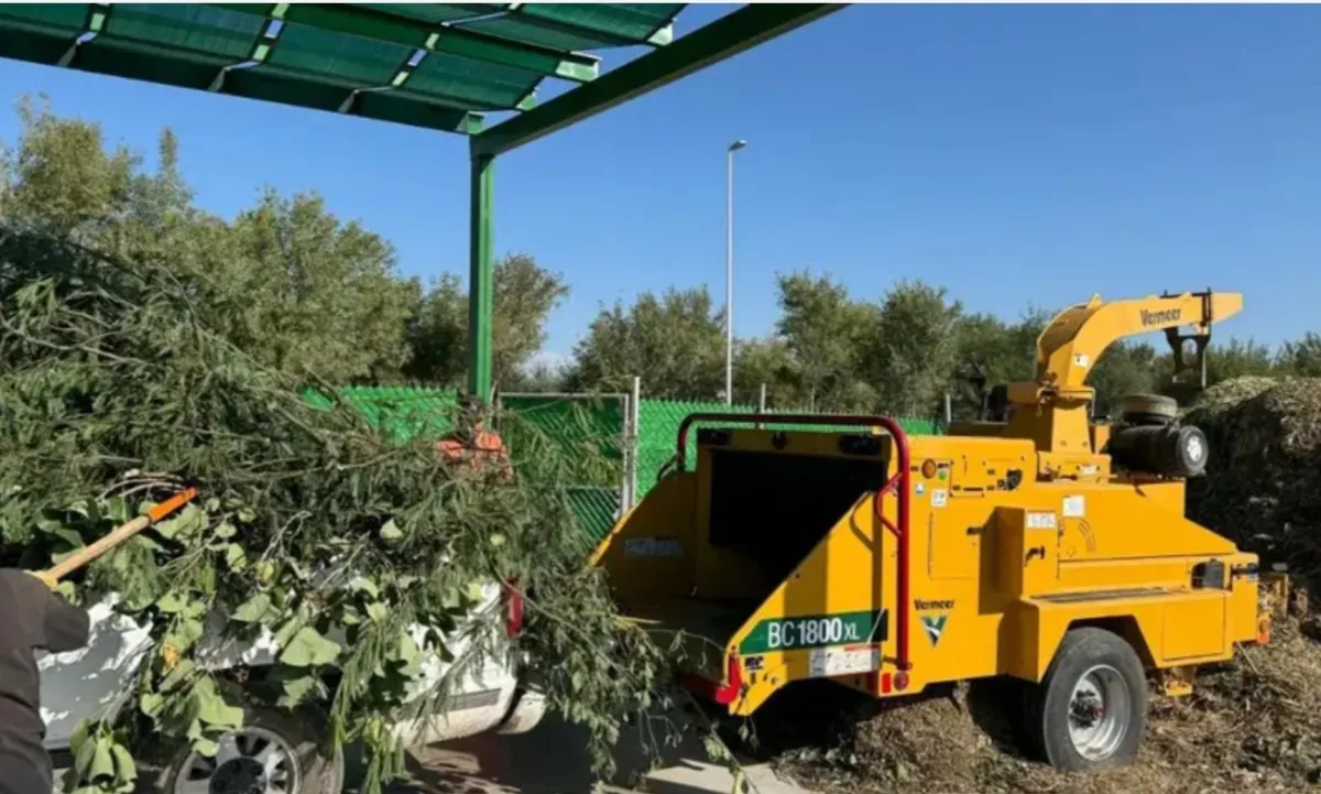 Finaliza el 28 de febrero la poda libre; desde marzo habrá nuevos lineamientos