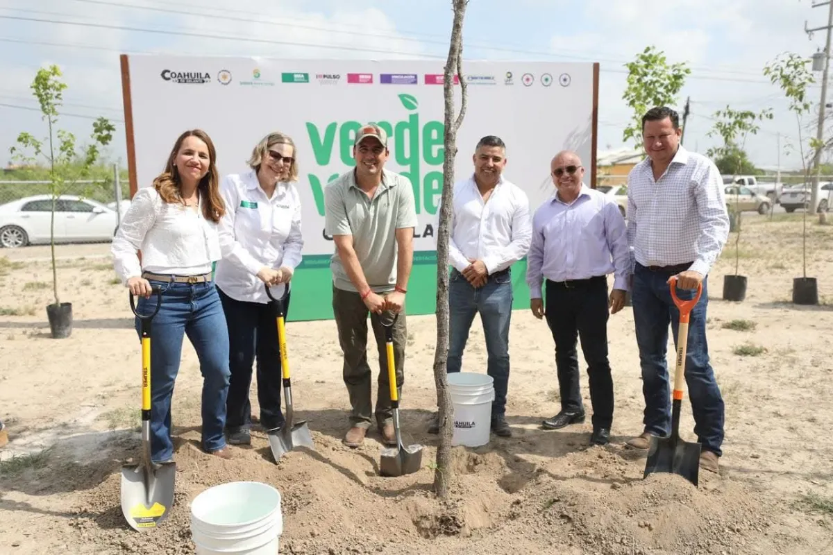Con "Verde Verde Coahuila", sembrarán 20 mil árboles en 38 municipios del estado