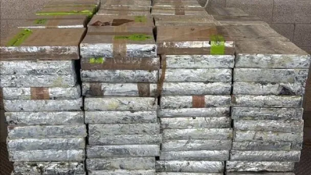 Decomisan 14 mdd en metanfetaminas escondidas entre pepinos y chile morrón en Reynosa Tamaulipas