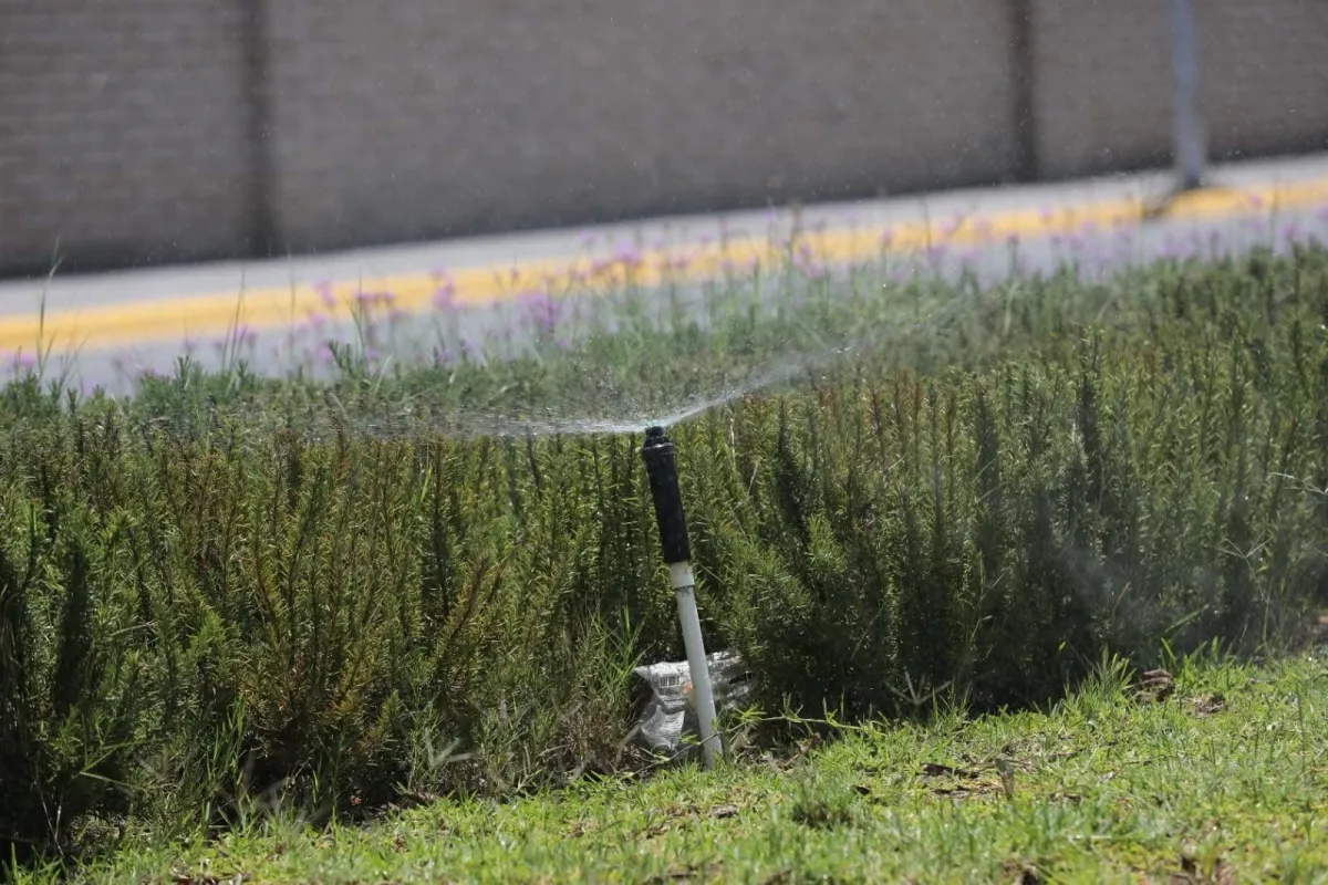 Aprovecha Saltillo agua tratada para riego de áreas verdes y fuentes